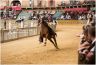 Prove di Addestramento Mattutine: la gallery di Benedetta Aucone